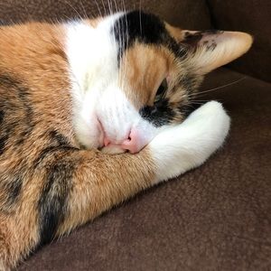 Meet your Posher, Stacey